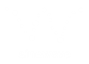 Sinewave S.A. de C.V.